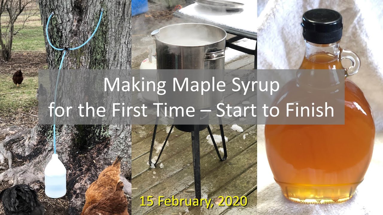 making-maple-syrup-for-the-first-time-start-to-finish-youtube