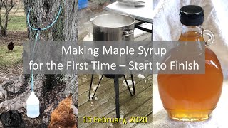 Celebrity Making Maple Syrup for the First Time, Start to Finish Wealth
