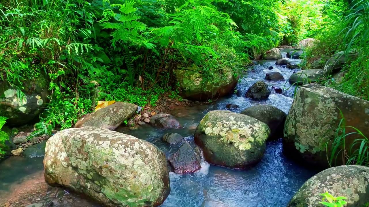 Relaxation River Soundscape for Deep Sleep Lucid Dreaming | sleep - relax - enjoy life - ASMR