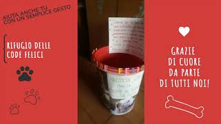 Raccolto Cibo Rifugio Code Felici