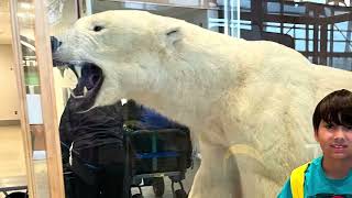 Fairbanks International Airport: Insider Tips and Family-Friendly Facts!