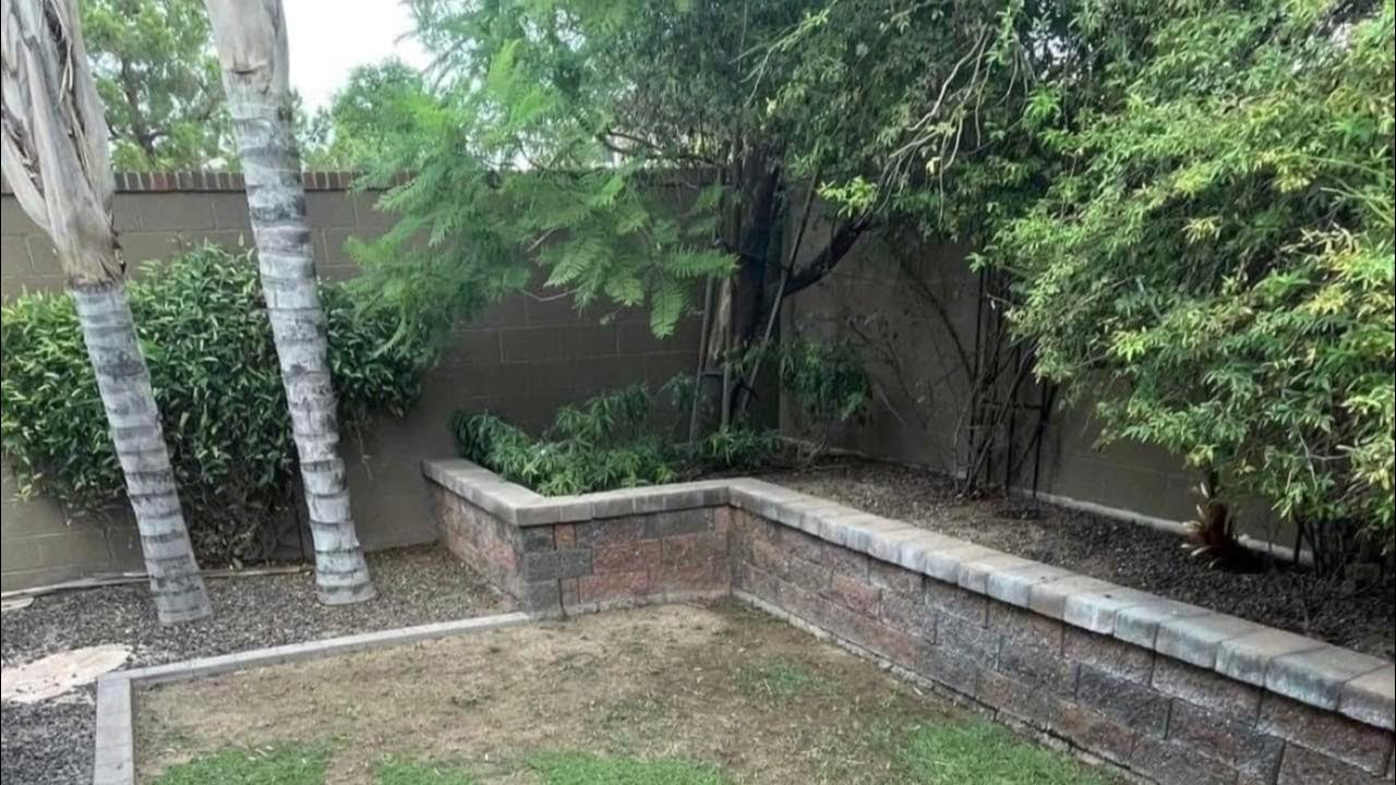 Replacing sod with Artificial turf in Chandler, Arizona YouTube