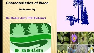 Title: ||Characteristics of Wood|| Different types of Wood|| Heart Wood and Soft Wood|| screenshot 5