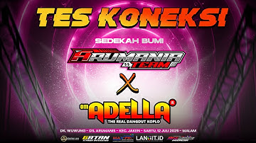TES KONEKSI ADELLA ARUMANIA TEAM - DK. WUWUNG
