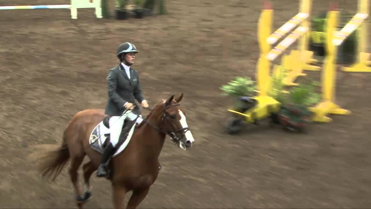 FTS Errol @ Cavan Crystal 5 Year-Old Championship 27.9.15. 2nd place, 1.35m.