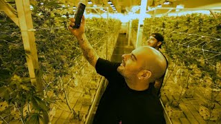Berner Visits the Cookies New Mexico Cultivation Facility