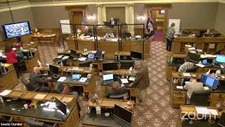 Senate Floor Session-Day 19, March 12, 2021-PM