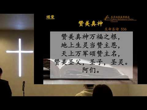 神的书卷