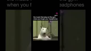 Video credit-@meme.ig on instagram do follow now!Make sure to do like comment and share.