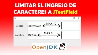 Limitar el ingreso de caracteres en un campo de texto JTextField en JAVA