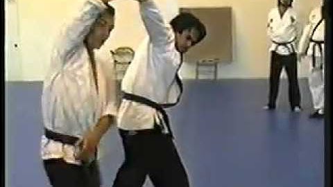 DoJuNim Teaching 3 Sin Moo Hapkido
