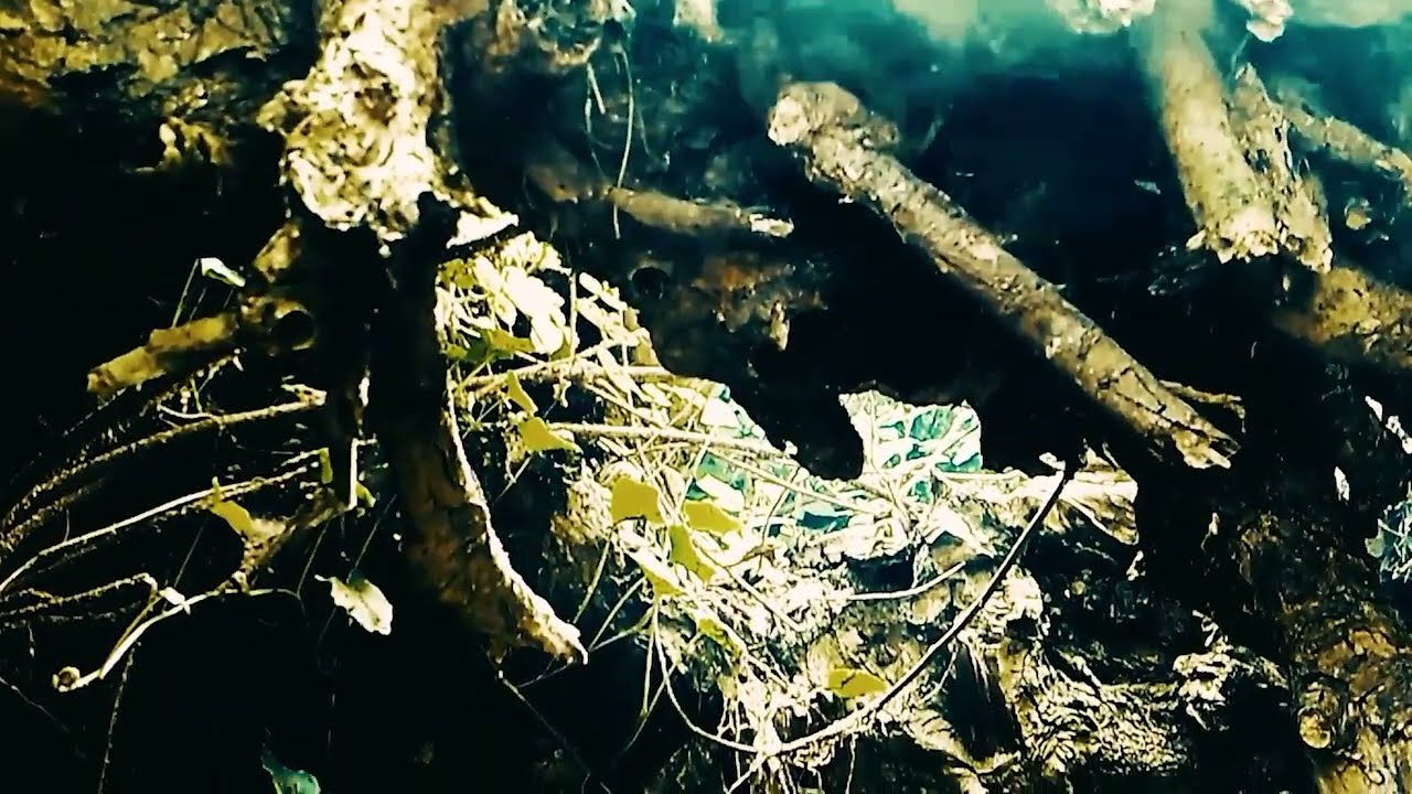 Distant Lanterns "SUNKEN" (2025)