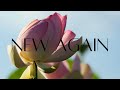 New Again HOLY SEE Ft LE JUNE New Again HOLY SEE Ft LE JUNE