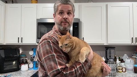 The Brew Company Of Denmark "Brew In The Bag". Featuring My Cat, Captain Kitty Pants!