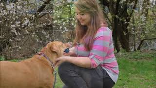 Lina Sucht Herzensmenschen