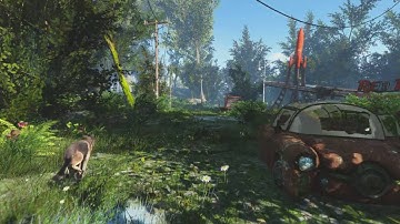 Fallout4 Resurrection Forest Edition beta