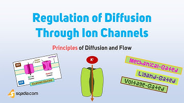Principles of Diffusion and Flow | Regulation of Diffusion Through Ion Channels