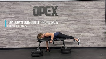 Top Down Dumbbell Prone Row
