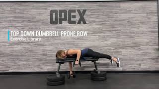 Top Down Dumbbell Prone Row