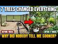 These 7 TREES Solved My Duck Pen’s Biggest Problems Naturally 🌿