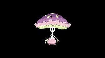 マシェード Youtube