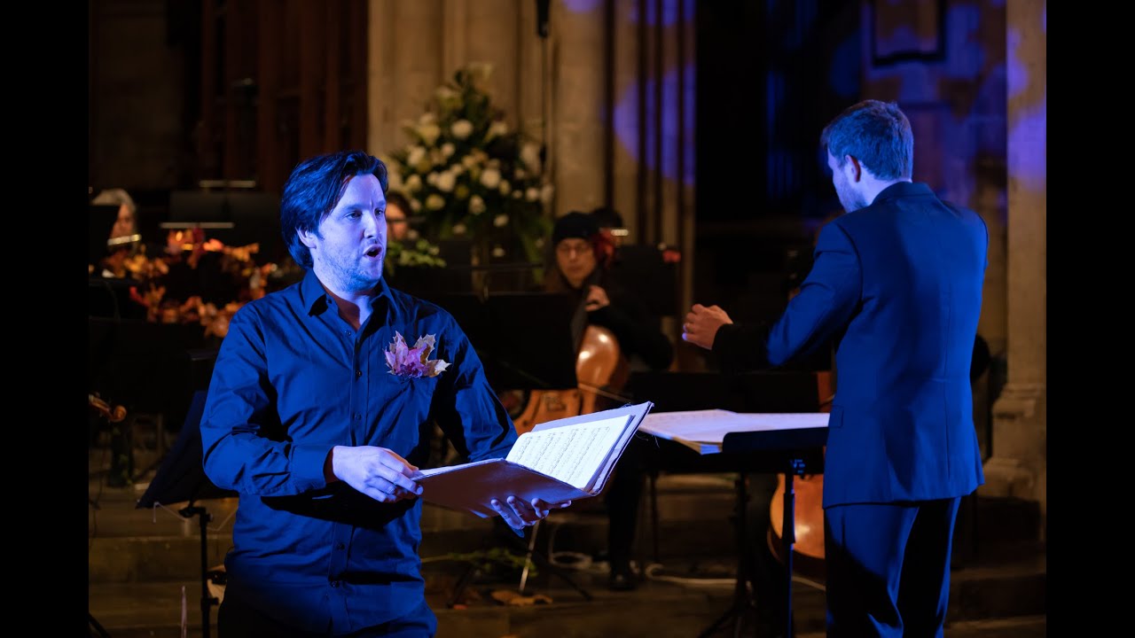 CLS | Hoad | Scenes from the Wild EPK