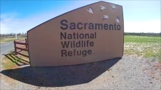 Sacramento National Wildlife Refuge