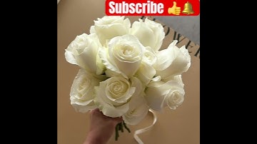 (إنا أنزلناه قرآنا عربيا لعلكم تعقلون )♥️سورة يوسف 💐💐