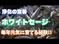 【浄化の定番】ホワイトセージの育て方を紹介します！