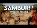 Samburu Safari VLOG Game Drives Big Cats Luxury Camp Northern Kenya 