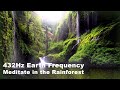 Meditate in the Rainforest ⎮ Ambiental 432Hz Powerful Mind-Body Connection