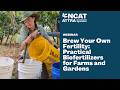 BREW YOUR OWN FERTILITY: PRACTICAL BIOFERTILIZERS FOR FARMS AND GARDENS
