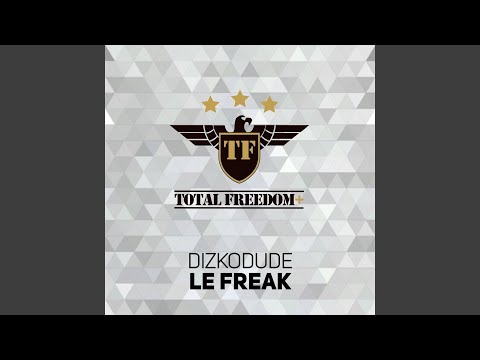 Le Freak (Radio Edit)