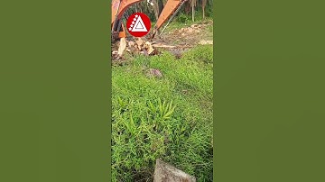 #reels #beritaviral #excavator #viral #trending #trendingshorts #fypシ #trend #video #videos #shorts