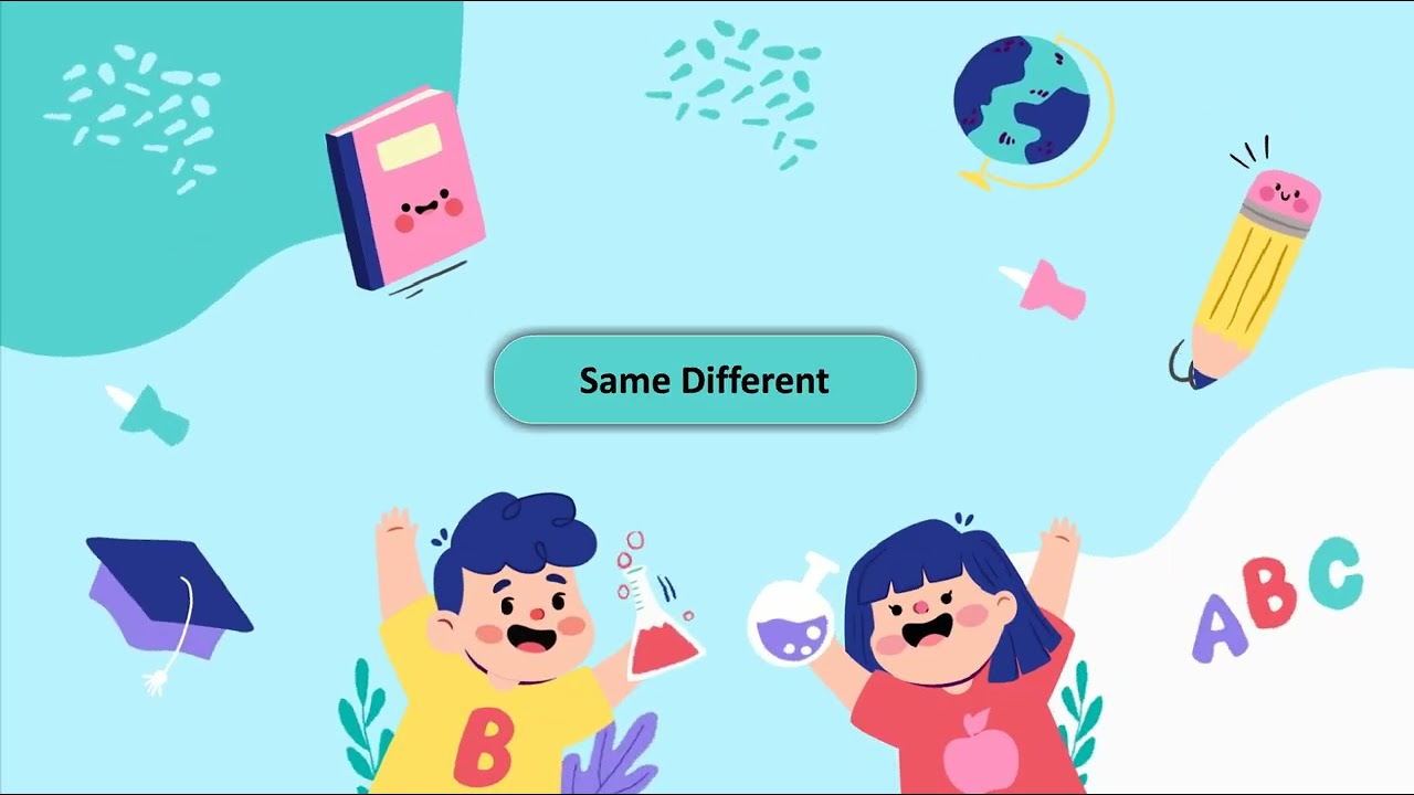 Ch 8 | Brillio Books | Math Level | B | Same Different  |  For children