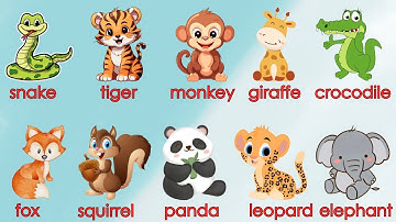 Wild Animals | Học tiếng Anh Động vật hoang dã | Wildlife | Oh Vui Kids