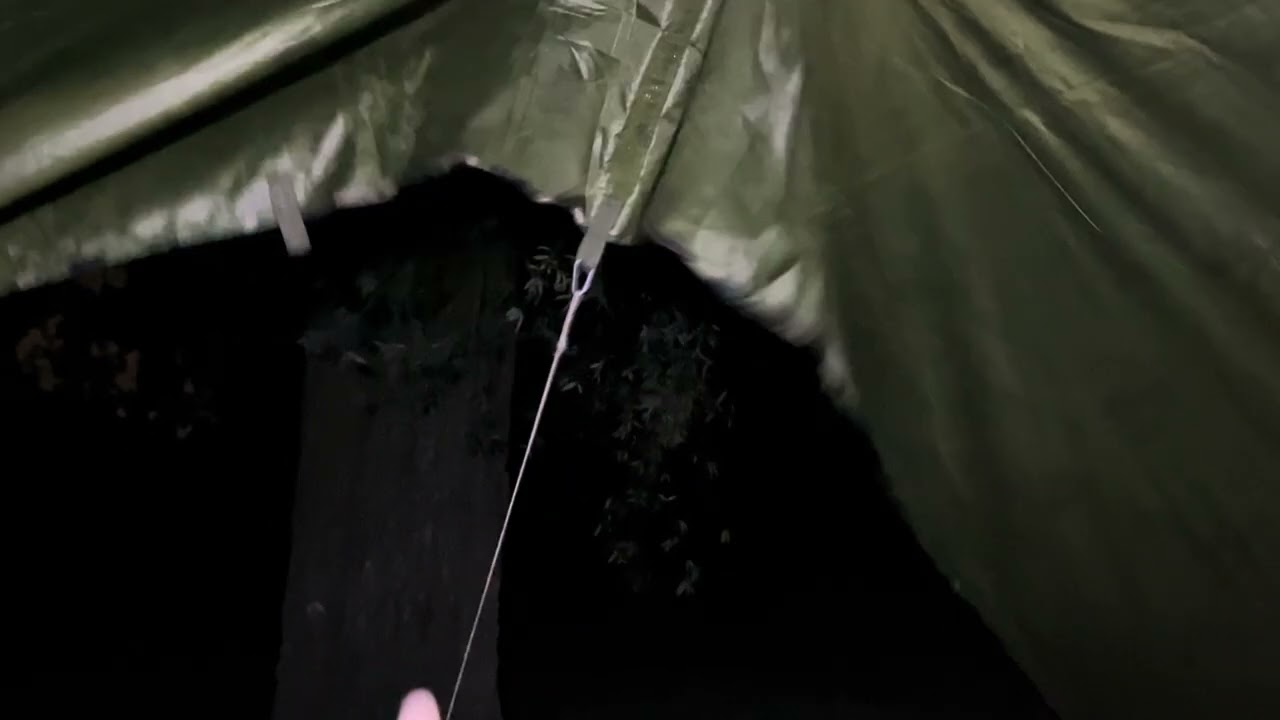 I really enjoy these breezy Nights outside