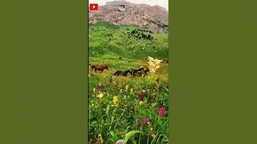 أحمد العبيد "تلاوة تريح القلب" حالات واتس اب دينية"