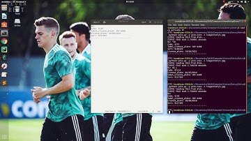 Nhận dạng tem kiểm định xe bằng mô hình YOLO