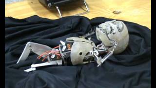 Animatronic Baby