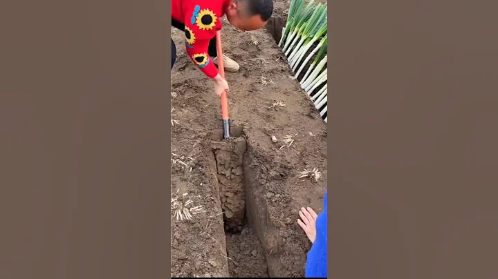 deep digging shovel | farmers tool for deep digging