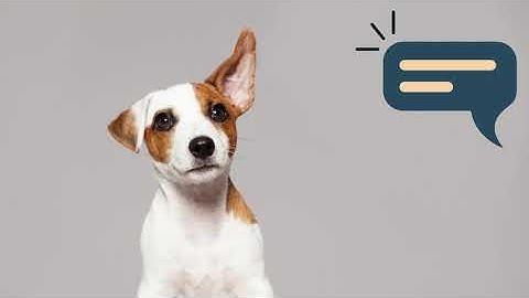 Cognitive Bias in Data Visualization