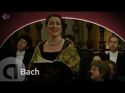 Bach: Weihnachtsoratorium BWV 248 - Cantate no.1 - Combattimento Consort Amsterdam - Live