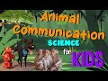 Animal Communication Quiz