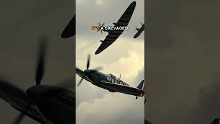WWII Plane Wing Became BFG's Bench
