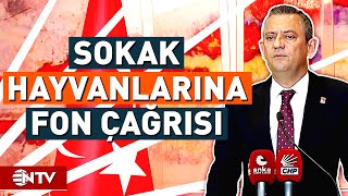 Özgür Özel Sokak Hayvanları İçin Yapılacak Olan Düzenlemeyi Değerlendirdi | NTV