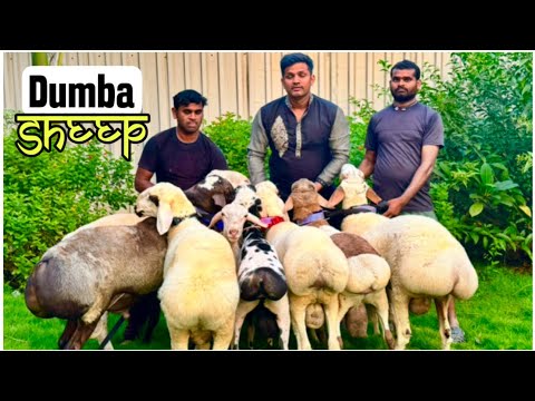 Passion-da HD formatda chiroyli porno tomosha qiling Yalangoch talabalarning gozal vaginalari