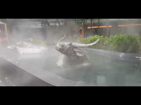 รีวิวบรรยากาศโรงแรม U Nimman Chiang Mai (ไม่มีคำบรรยาย)