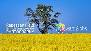 Rapeseed Field | Landscape Photography | Stewart Gibbs