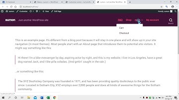 Max Mega Menu Mobile responsive setting in Bangla